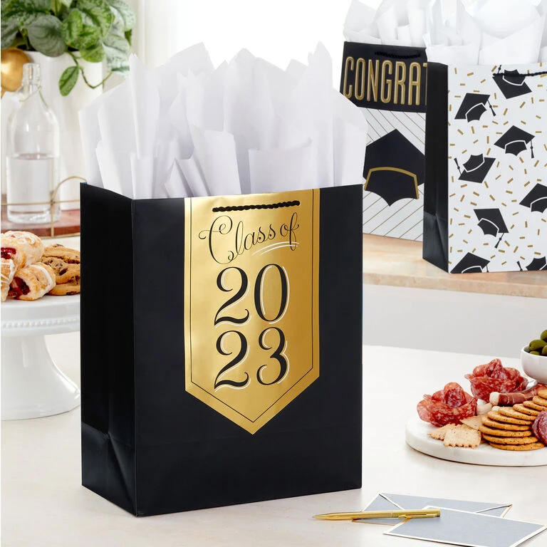 Hallmark 13" Assorted Grad Designs 3-Pack Large Gift Bags With Tissue Paper 2 Hallmark 13" Assorted Grad Designs 3-Pack Large Gift Bags With Tissue Paper - Image 2
