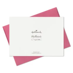 Hallmark Marjolein Bastin Assorted Blank Nature Note Cards In Caddy, Pack Of 24 18 Hallmark Marjolein Bastin Assorted Blank Nature Note Cards In Caddy, Pack Of 24 -Hallmark Bastin Assorted Nature Note Cards Caddy Bulk Pack 1SOM3881 09