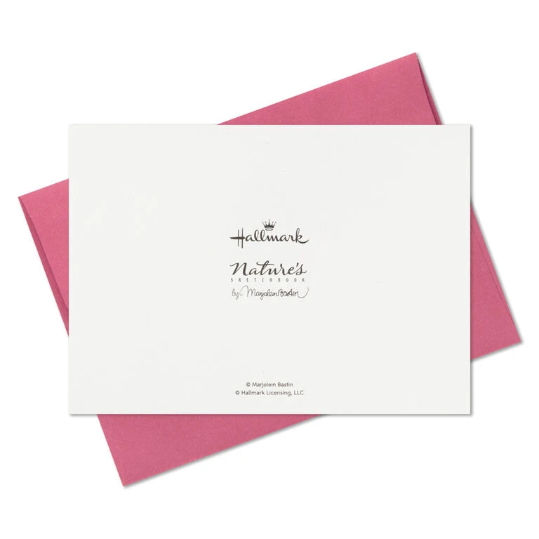 Hallmark Marjolein Bastin Assorted Blank Nature Note Cards In Caddy, Pack Of 24 9 Hallmark Marjolein Bastin Assorted Blank Nature Note Cards In Caddy, Pack Of 24 - Image 9