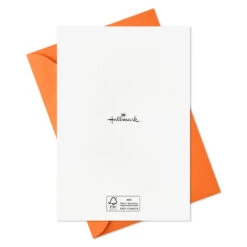 Hallmark Boo To You Boxed Halloween Cards Assortment, Pack Of 36 16 Hallmark Boo To You Boxed Halloween Cards Assortment, Pack Of 36 -Hallmark Boo to You Boxed Halloween Cards Assortment 5ELT1011 08