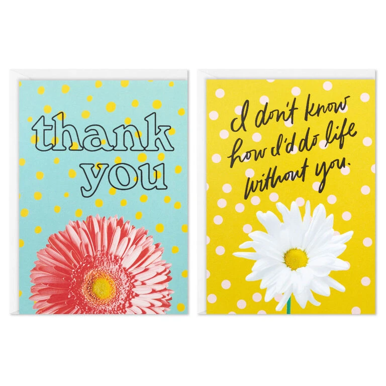 Hallmark Colorful Daisies Boxed Thank-You Notes, Pack Of 50 2 Hallmark Colorful Daisies Boxed Thank-You Notes, Pack Of 50 - Image 2