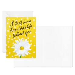 Hallmark Colorful Daisies Boxed Thank-You Notes, Pack Of 50 10 Hallmark Colorful Daisies Boxed Thank-You Notes, Pack Of 50 -Hallmark Colorful Daisies Boxed ThankYou Notes 3THK2543 04