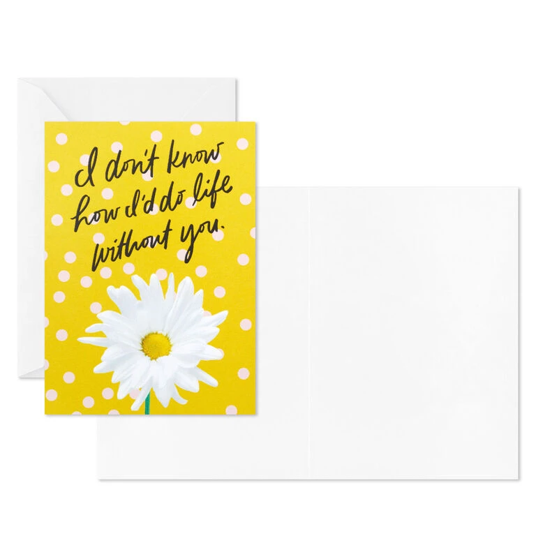 Hallmark Colorful Daisies Boxed Thank-You Notes, Pack Of 50 4 Hallmark Colorful Daisies Boxed Thank-You Notes, Pack Of 50 - Image 4