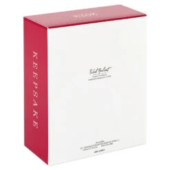 Hallmark Star Wars: The Mandalorian™ The Mandalorian's N-1 Starfighter™ Ornament -Hallmark Mandalorian Starfighter Keepsake Ornament 2999QXI7119 05