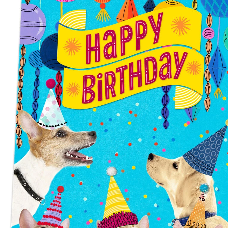 Hallmark 16" Party Cats And Dogs Jumbo Birthday Card From All 4 Hallmark 16" Party Cats And Dogs Jumbo Birthday Card From All - Image 4