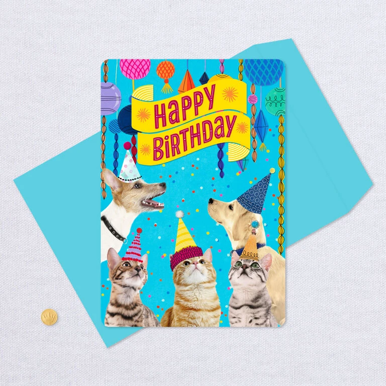 Hallmark 16" Party Cats And Dogs Jumbo Birthday Card From All 5 Hallmark 16" Party Cats And Dogs Jumbo Birthday Card From All - Image 5