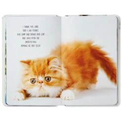 Hallmark Pet Prayers: Funny Pleas And Praise From Our Animal Friends Book 6 Hallmark Pet Prayers: Funny Pleas And Praise From Our Animal Friends Book -Hallmark Pet Prayers Funny Pleas and Praise From Our Animal Friends Book root 1BOK1418 BOK1418 1470 3.jpg Source Image