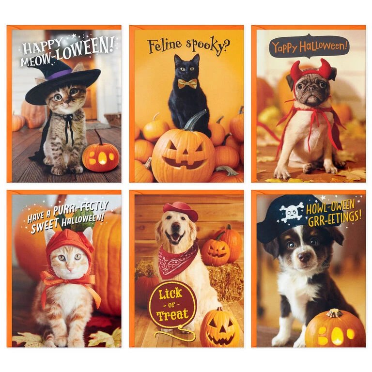 Hallmark Pet Puns Boxed Halloween Cards Assortment, Pack Of 48 2 Hallmark Pet Puns Boxed Halloween Cards Assortment, Pack Of 48 - Image 2