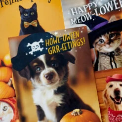 Hallmark Pet Puns Boxed Halloween Cards Assortment, Pack Of 48 8 Hallmark Pet Puns Boxed Halloween Cards Assortment, Pack Of 48 -Hallmark Pet Puns Boxed Halloween Cards Assortment 5ELT1013 03