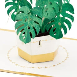 Hallmark Plant In Pot 3D Pop-Up Thinking Of You Card 11 Hallmark Plant In Pot 3D Pop-Up Thinking Of You Card -Hallmark Plant in Pot 3D PopUp Thinking of You Card 1299LAD2900 03