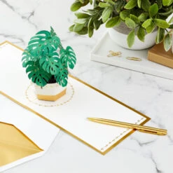 Hallmark Plant In Pot 3D Pop-Up Thinking Of You Card 15 Hallmark Plant In Pot 3D Pop-Up Thinking Of You Card -Hallmark Plant in Pot 3D PopUp Thinking of You Card 1299LAD2900 07