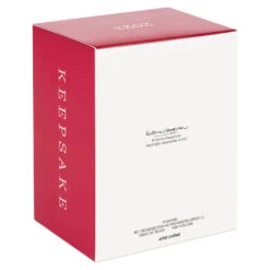 Hallmark Star Wars: Return Of The Jedi™ A Curious Encounter On Endor™ Ornament -Hallmark Return of the Jedi Wicket Ewok Keepsake Ornament 2699QXI7097 05