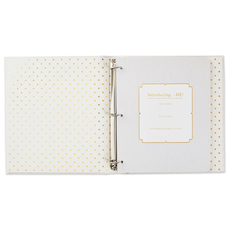 Hallmark Sweet Baby's First Five Years Baby Book 2 Hallmark Sweet Baby's First Five Years Baby Book - Image 2