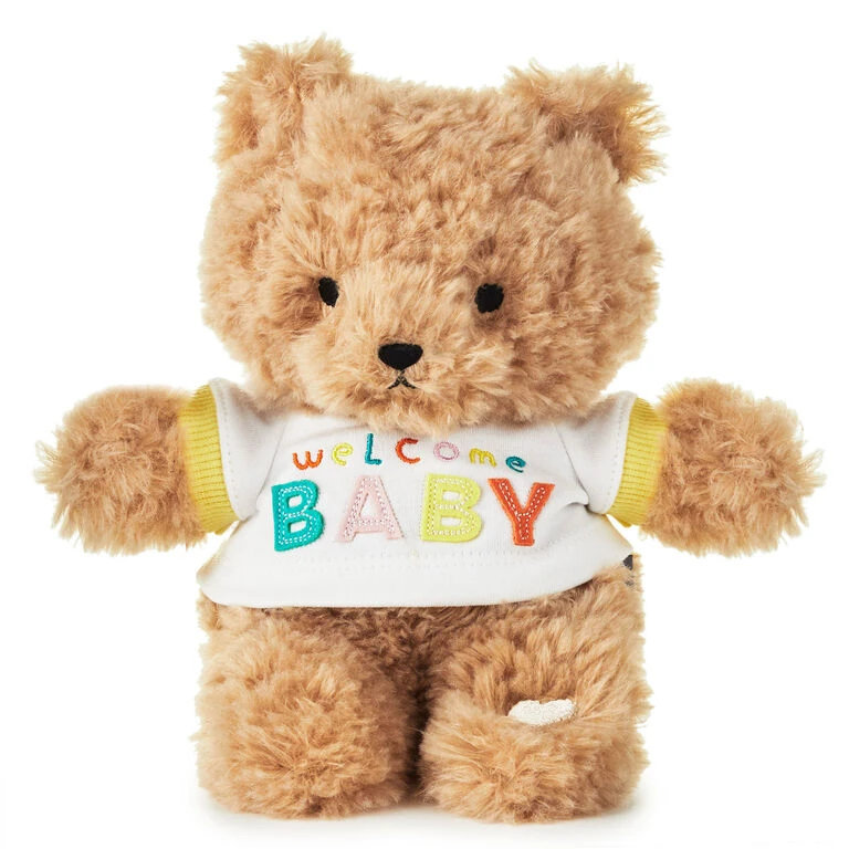 Hallmark Welcome Baby Recordable Teddy Bear Stuffed Animal, 8.75" 1 Hallmark Welcome Baby Recordable Teddy Bear Stuffed Animal, 8.75"