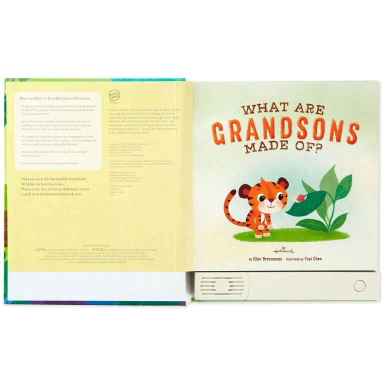 Hallmark What Are Grandsons Made Of? Recordable Storybook 3 Hallmark What Are Grandsons Made Of? Recordable Storybook - Image 3