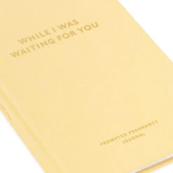 Hallmark While I Was Waiting Prompted Pregnancy Journal 18 Hallmark While I Was Waiting Prompted Pregnancy Journal -Hallmark Yellow Prompted Pregnancy Journal 1BBA4141 08